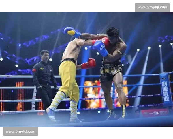 播求迎战一龙巅峰对决精彩直播全程回顾与精彩瞬间解析