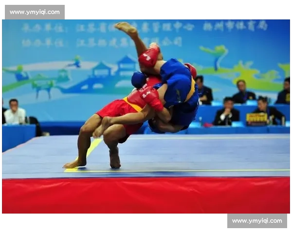 散打最新比赛精彩回顾与冠军争夺全程解析