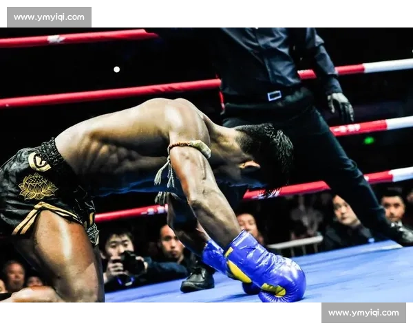 播求与一龙激烈对决完整版视频解析 深度剖析比赛精彩瞬间